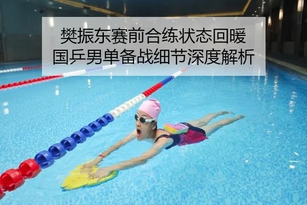 樊振东赛前合练状态回暖 国乒男单备战细节深度解析